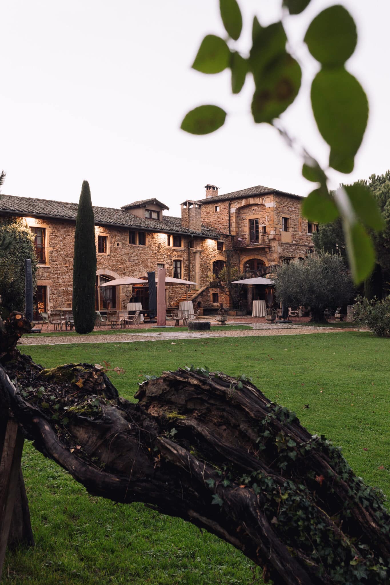 54928652330_14d6c71d6e_o